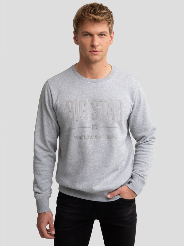 Bluza męska z nadrukiem szara Ecodort 902