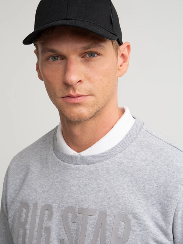 Bluza męska z nadrukiem szara Ecodort 902