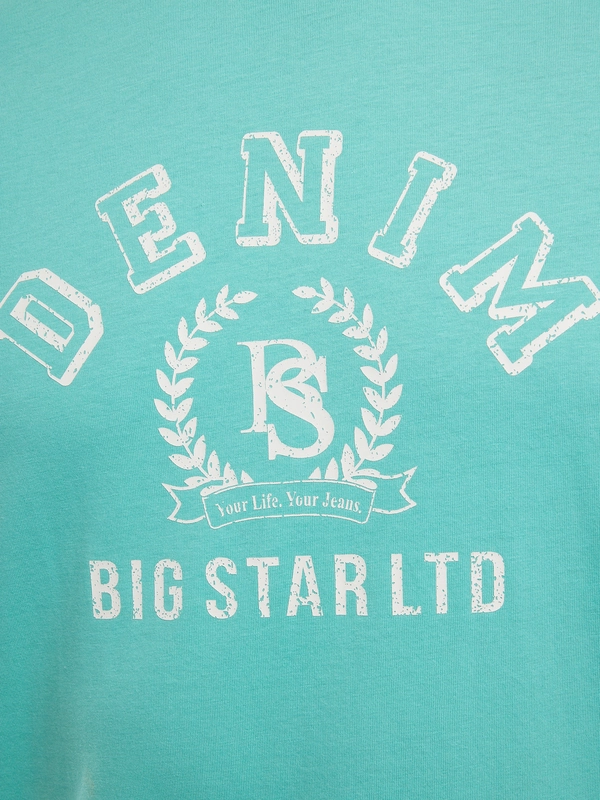 Koszulka męska z nadrukiem turkusowa Bester 302