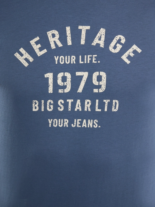 Koszulka męska z nadrukiem niebieska Serter 402