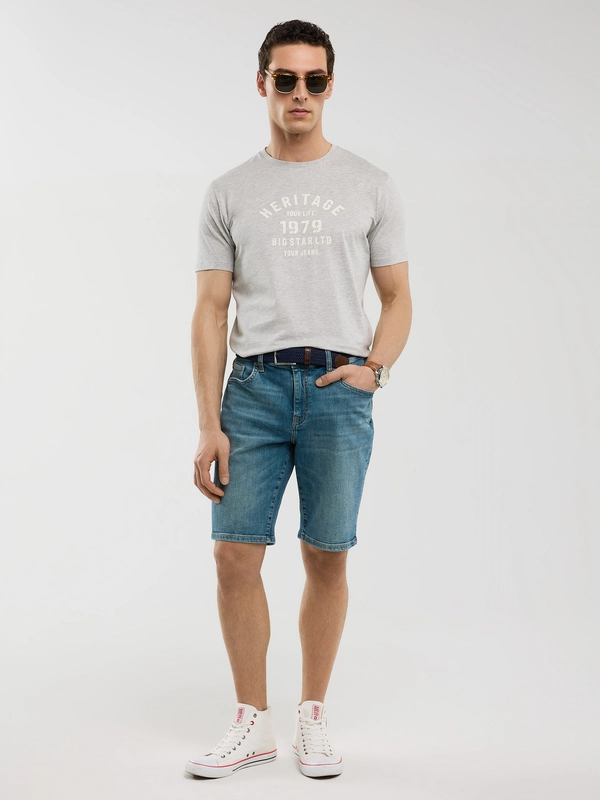 Koszulka męska z nadrukiem szara Serter 901