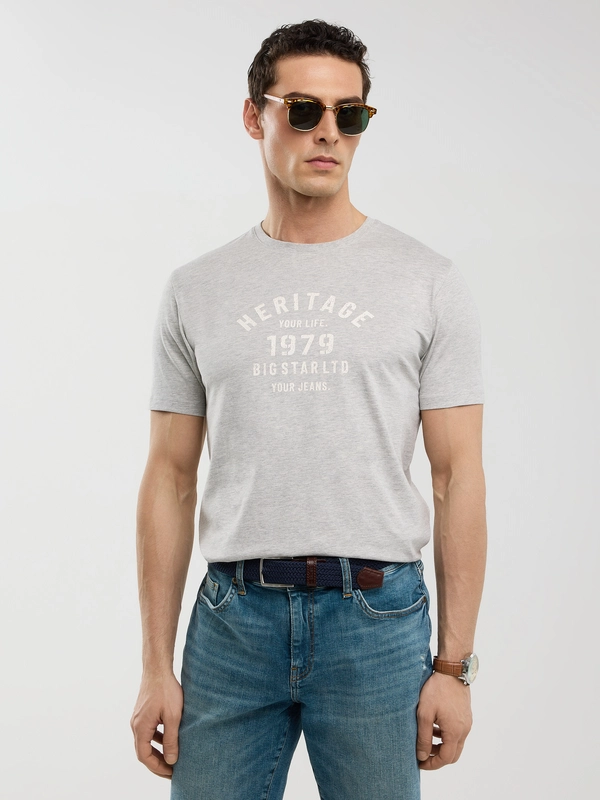 Koszulka męska z nadrukiem szara Serter 901