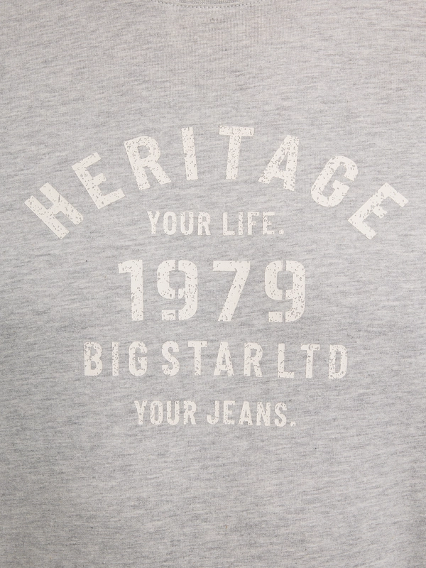 Koszulka męska z nadrukiem szara Serter 901