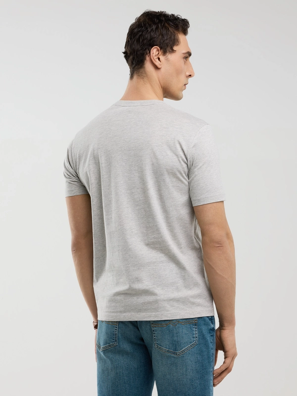 Koszulka męska z nadrukiem szara Serter 901