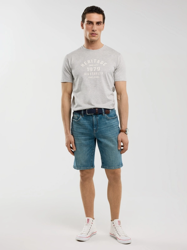 Koszulka męska z nadrukiem szara Serter 901