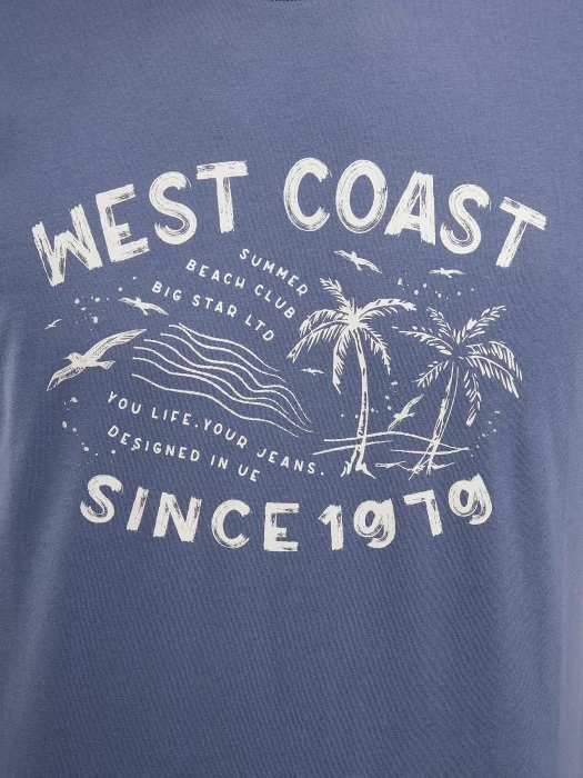 Koszulka męska z nadrukiem niebieska Reddrez 402