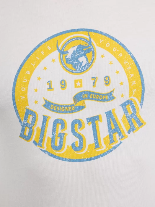 Koszulka męska z nadrukiem biała Stelian 100