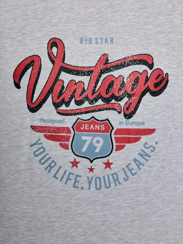 Koszulka męska z nadrukiem szara Merret 901