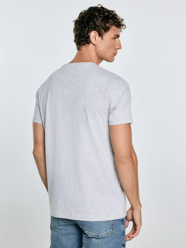 Koszulka męska z nadrukiem szara Merret 901