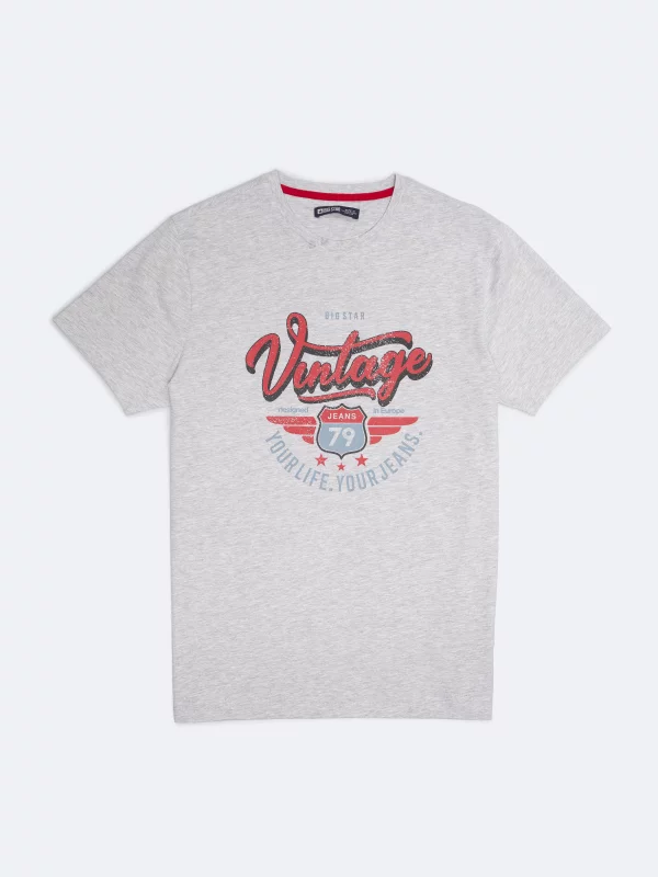 Koszulka męska z nadrukiem szara Merret 901