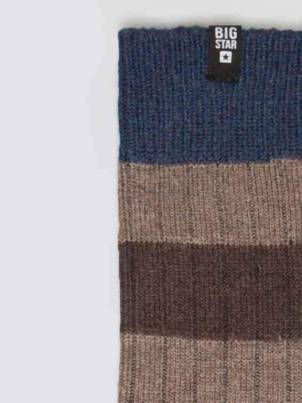 Skarpety męskie prążkowane w pasy brązowe Rajser 803