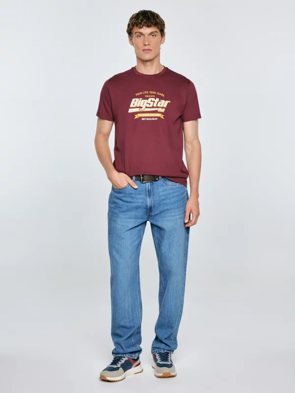 Koszulka męska z nadrukiem bordowa Briss 604