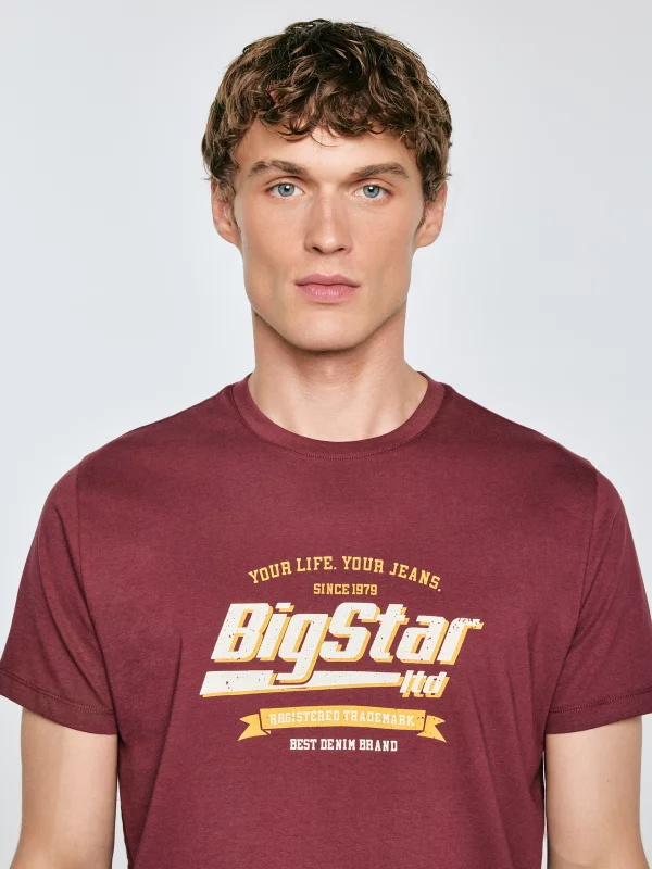 Koszulka męska z nadrukiem bordowa Briss 604