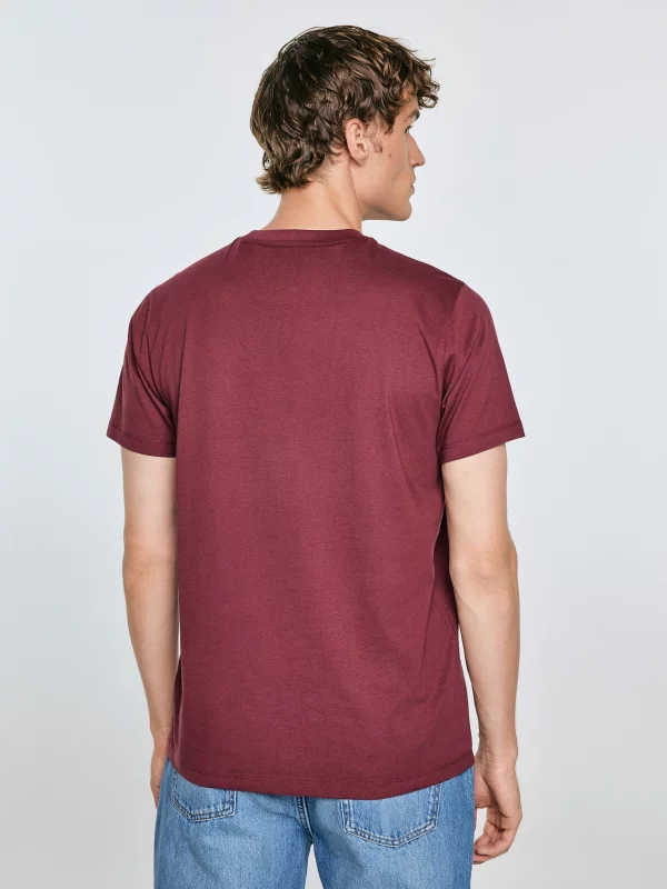 Koszulka męska z nadrukiem bordowa Briss 604