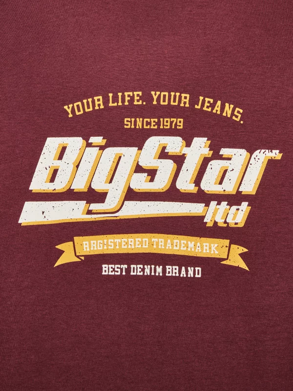 Koszulka męska z nadrukiem bordowa Briss 604