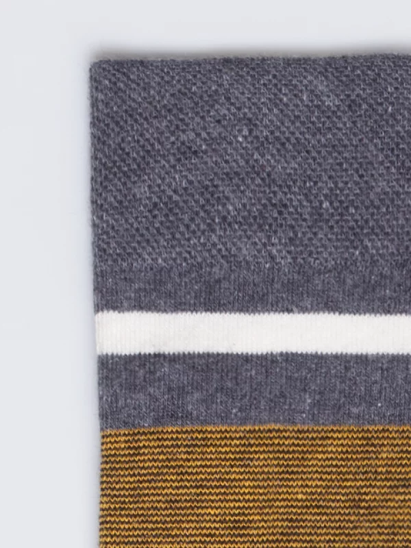 Skarpety męskie w kolorowe paski szare Ismael 903