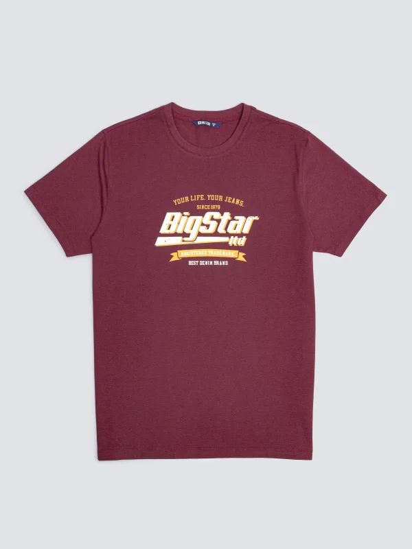 Koszulka męska z nadrukiem bordowa Briss 604