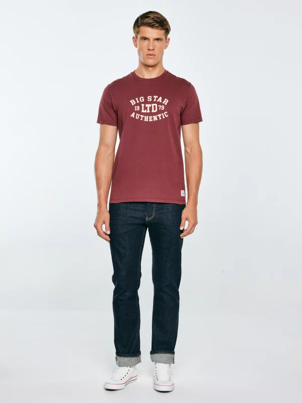 Koszulka męska z nadrukiem bordowa Teller 604