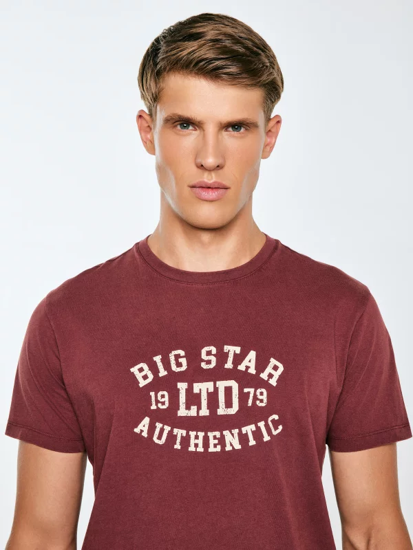 Koszulka męska z nadrukiem bordowa Teller 604