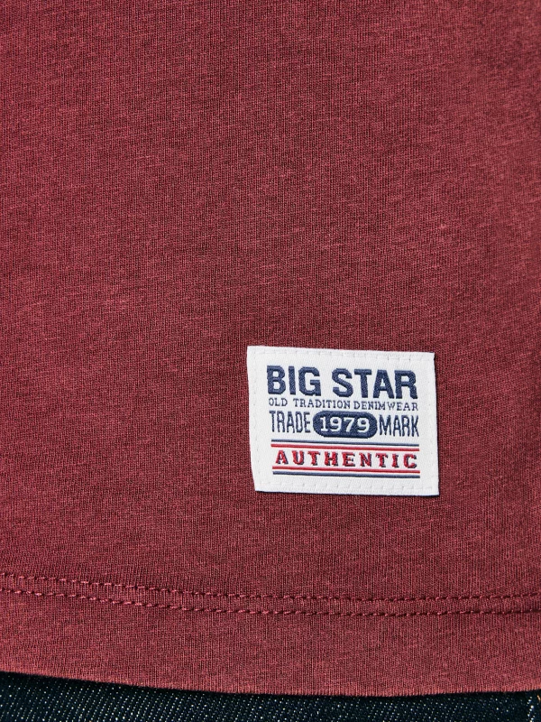 Koszulka męska z nadrukiem bordowa Teller 604