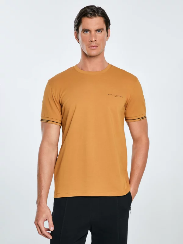 Koszulka męska bawełniana z logo BIG STAR brązowa Wlader 803