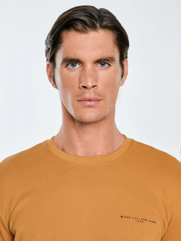 Koszulka męska bawełniana z logo BIG STAR brązowa Wlader 803