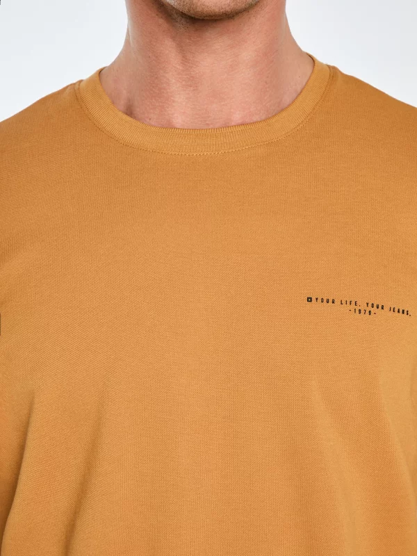 Koszulka męska bawełniana z logo BIG STAR brązowa Wlader 803