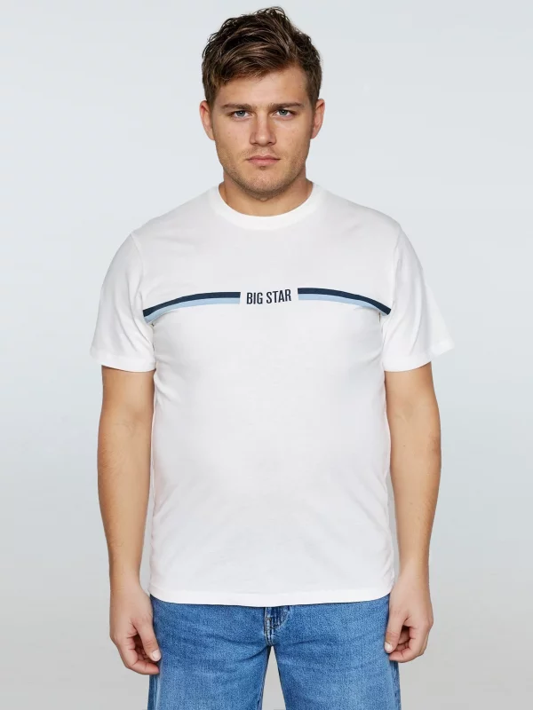 Koszulka męska z nadrukiem biała Lexor 100