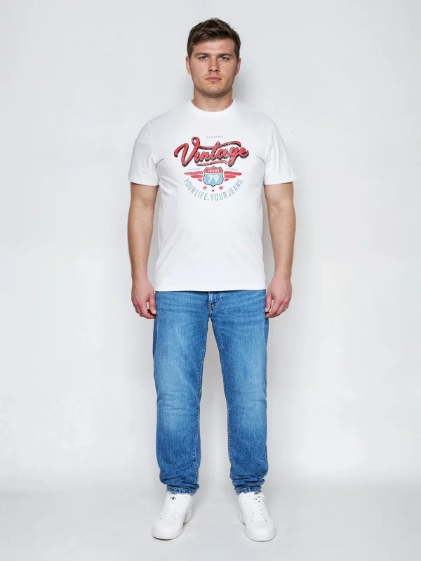 Koszulka męska z nadrukiem biała Merret 100