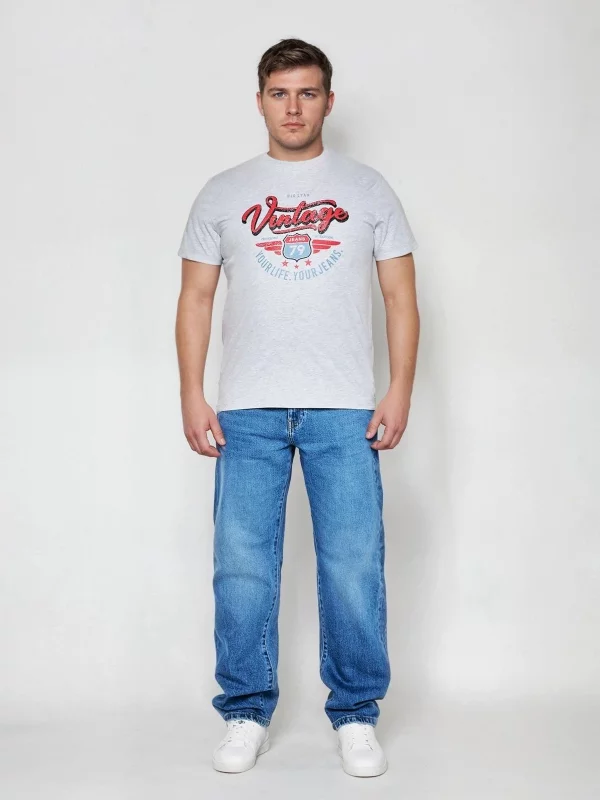 Koszulka męska z nadrukiem szara Merret 901