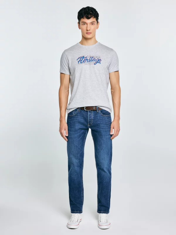 Koszulka męska z nadrukiem szara Keren 902