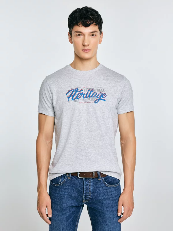 Koszulka męska z nadrukiem szara Keren 902