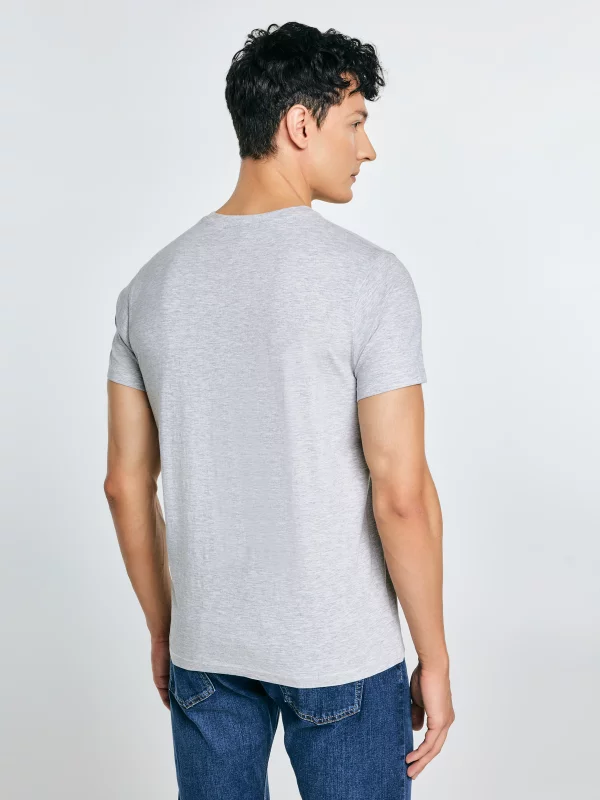 Koszulka męska z nadrukiem szara Keren 902