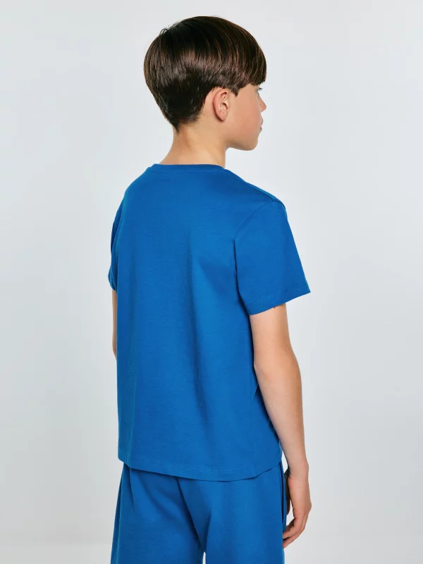 Koszulka chłopięca z nadrukiem niebieska Rafer 402