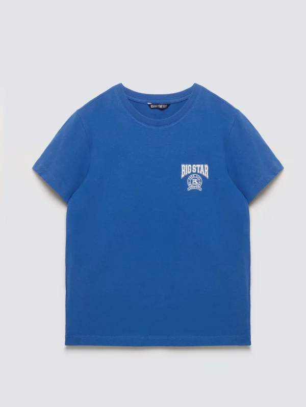 Koszulka chłopięca z nadrukiem niebieska Rafer 402