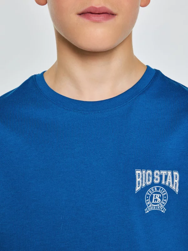 Koszulka chłopięca z nadrukiem niebieska Rafer 402