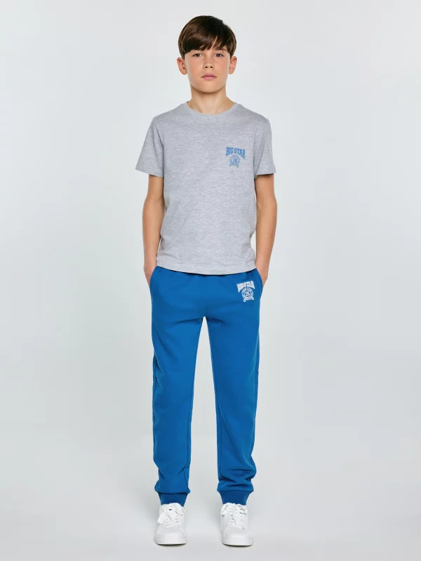 Koszulka chłopięca z nadrukiem szara Rafer 902