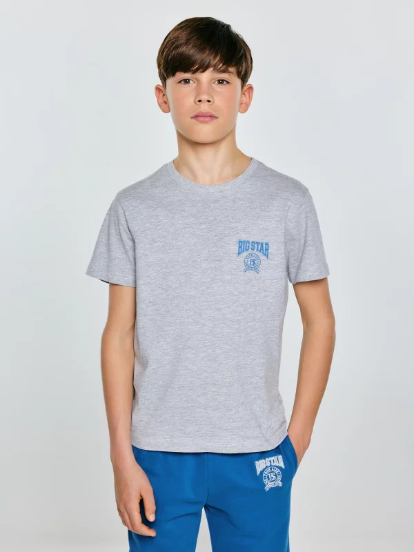 Koszulka chłopięca z nadrukiem szara Rafer 902