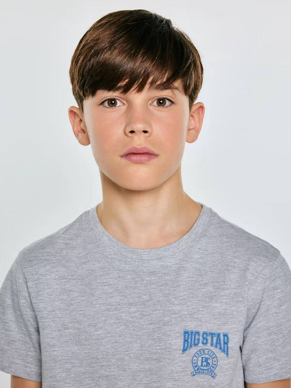 Koszulka chłopięca z nadrukiem szara Rafer 902