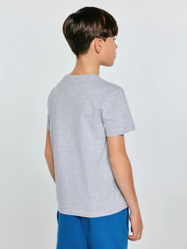 Koszulka chłopięca z nadrukiem szara Rafer 902