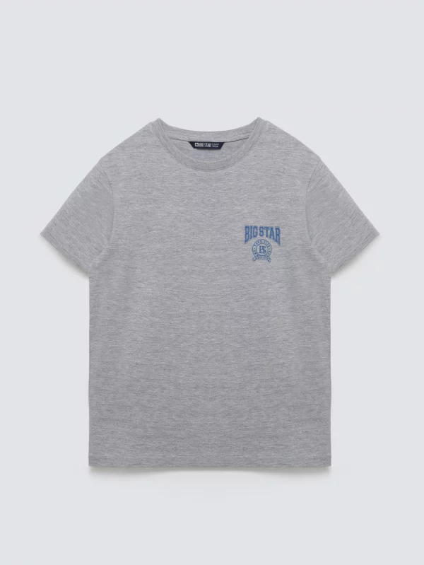 Koszulka chłopięca z nadrukiem szara Rafer 902