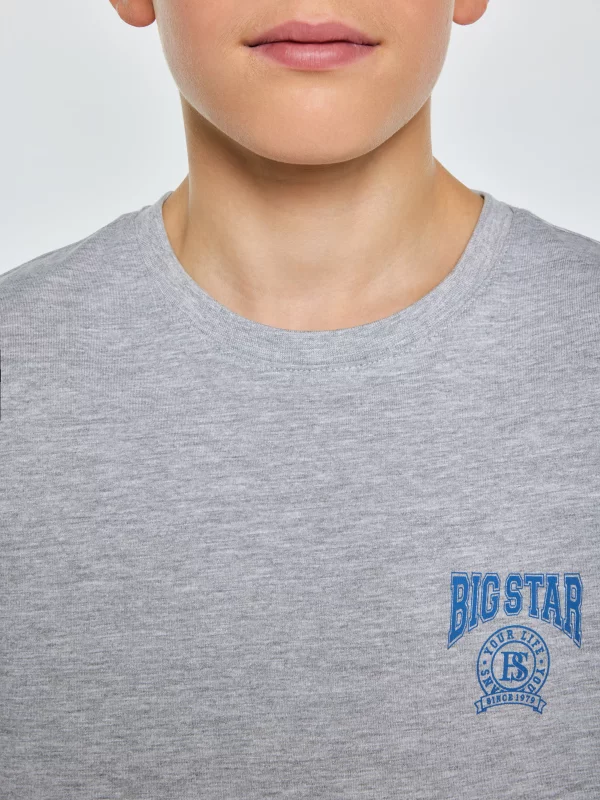 Koszulka chłopięca z nadrukiem szara Rafer 902