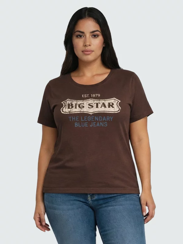 Koszulka damska z linii Authentic z logo BIG STAR brązowa Rissmelna 804