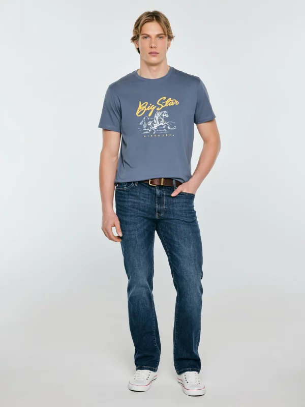 Koszulka męska z nadrukiem niebieska Stelianer 402