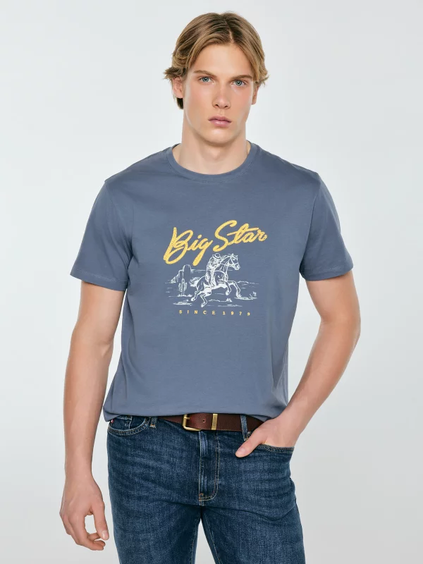 Koszulka męska z nadrukiem niebieska Stelianer 402