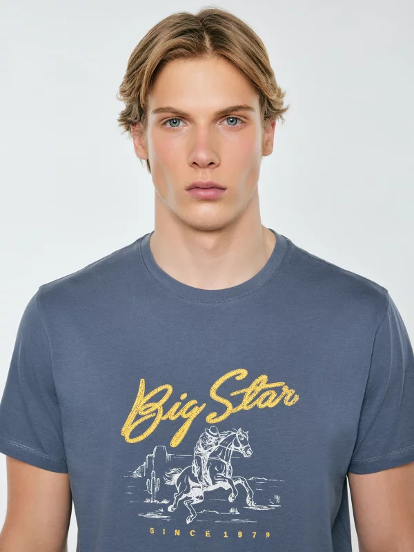 Koszulka męska z nadrukiem niebieska Stelianer 402