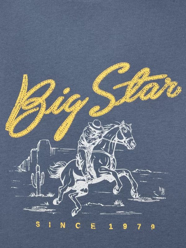 Koszulka męska z nadrukiem niebieska Stelianer 402