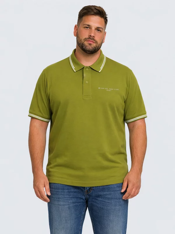 Koszulka męska polo zielona Wladym 301