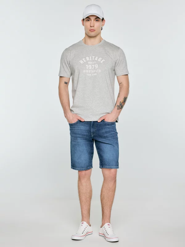 Koszulka męska z nadrukiem szara Serter 901