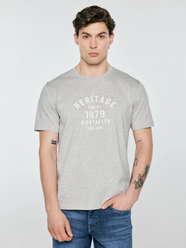 Koszulka męska z nadrukiem szara Serter 901